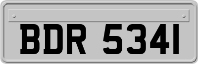 BDR5341