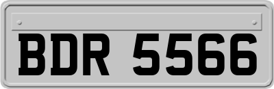 BDR5566