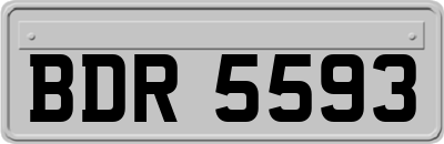BDR5593