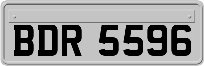 BDR5596