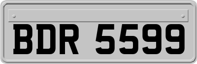 BDR5599