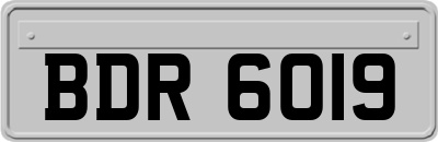 BDR6019