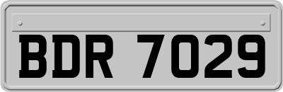 BDR7029