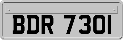 BDR7301