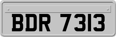 BDR7313