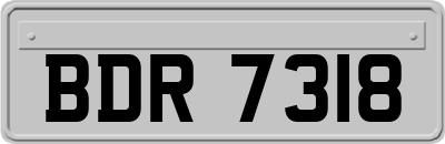BDR7318