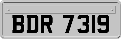 BDR7319