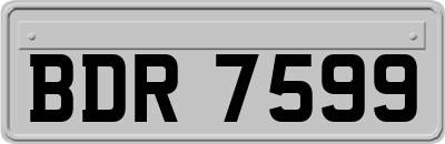 BDR7599