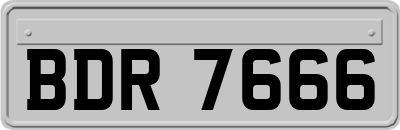 BDR7666