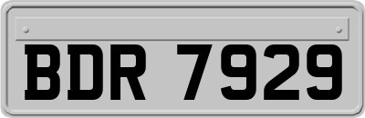 BDR7929