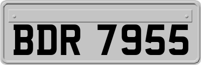 BDR7955
