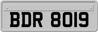 BDR8019