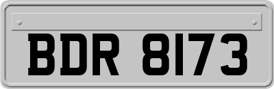 BDR8173