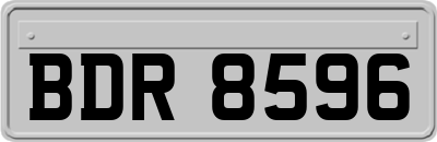 BDR8596