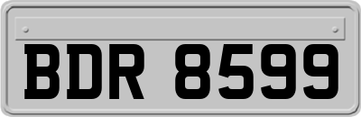 BDR8599