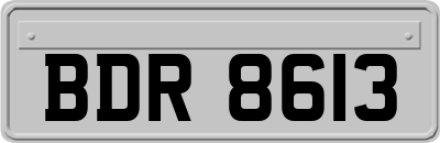 BDR8613