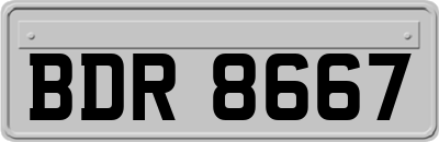 BDR8667