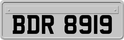 BDR8919