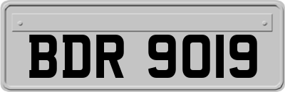 BDR9019