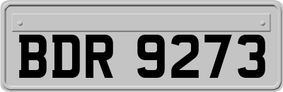 BDR9273
