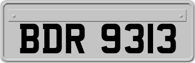 BDR9313