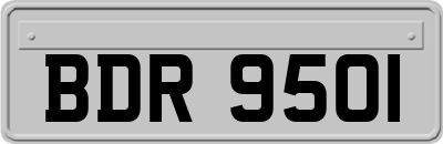 BDR9501