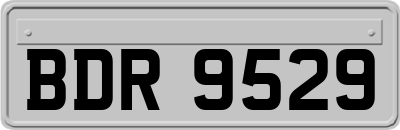 BDR9529