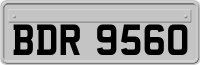 BDR9560