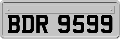 BDR9599