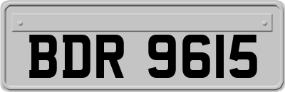 BDR9615