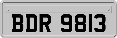 BDR9813