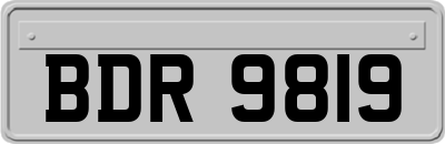 BDR9819