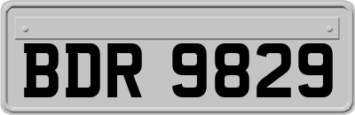 BDR9829