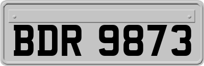 BDR9873