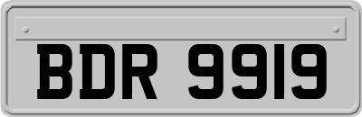 BDR9919