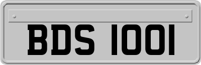BDS1001