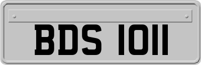BDS1011