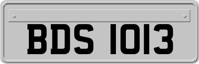 BDS1013