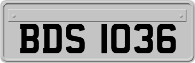 BDS1036