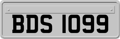 BDS1099