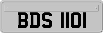BDS1101