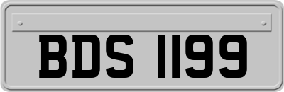 BDS1199