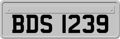 BDS1239