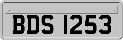 BDS1253
