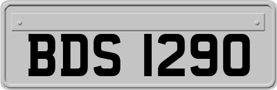 BDS1290