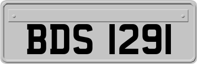 BDS1291
