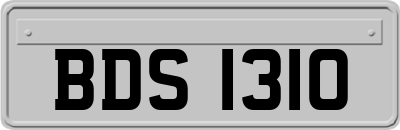 BDS1310