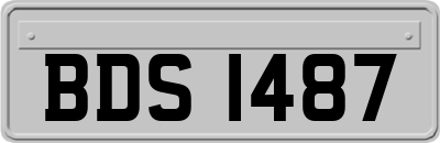 BDS1487