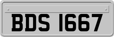 BDS1667