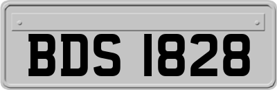 BDS1828